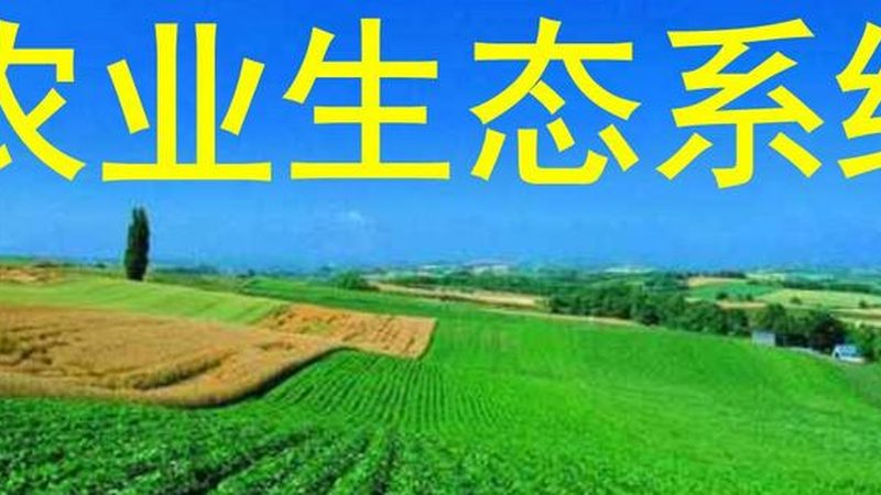 生态农业产业链搭建：构建可持续发展的绿色蓝图**