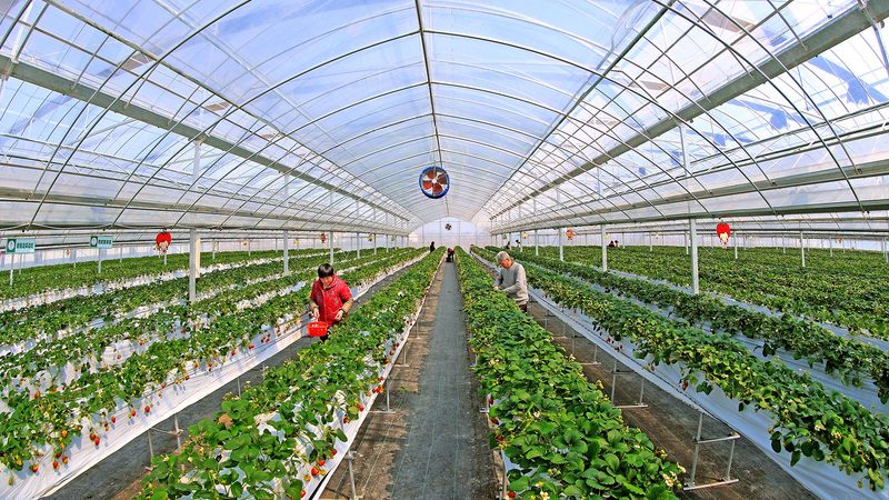 在对比不同厂家的报价时，可以从以下几个方面进行：