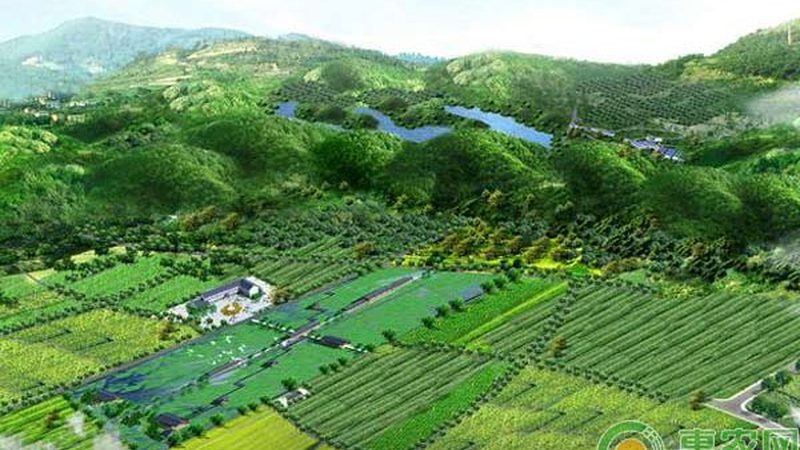 设施农业温室大棚：如何评估公司排名与选择合适方案