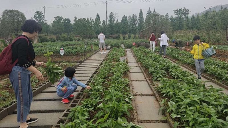 果蔬配送中心选址的地理参数解析