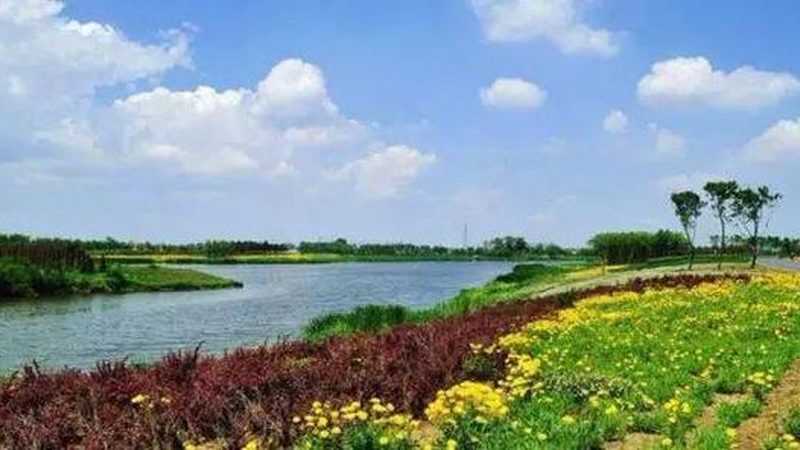 苹果树种植土壤条件：如何打造优质土壤环境