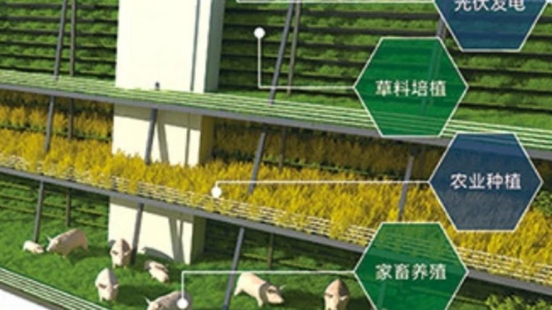 农产品包装设计公司优缺点