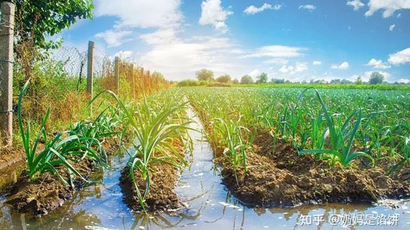 果园农药使用记录台账，如何规范管理？**