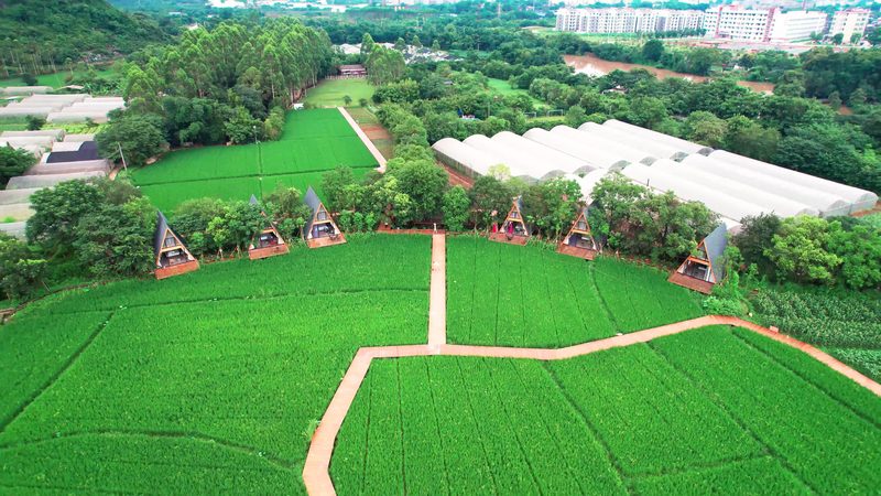 北京农民专业合作社注册补贴全解析
