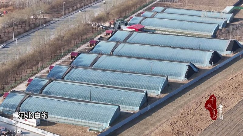 生态农业加盟，技术培训费如何衡量价值？**