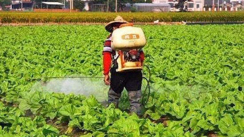 农资批发库存尾货，如何慧眼识珠？**