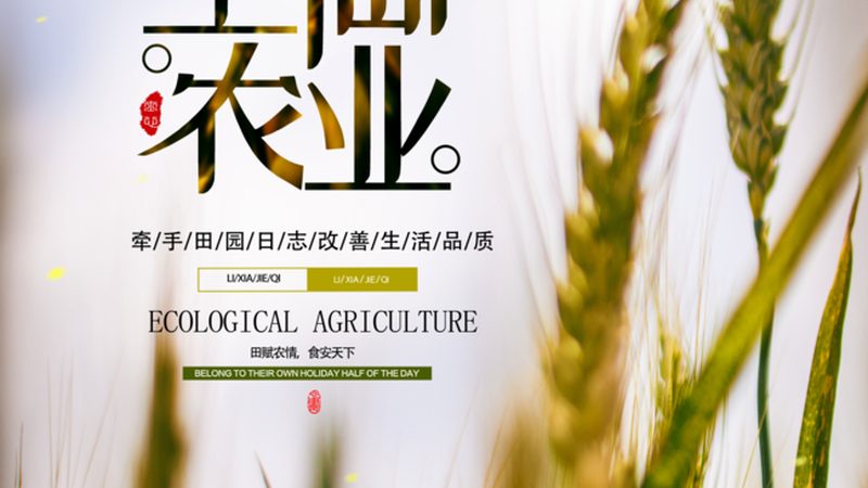 揭秘粮食种植增产的五大关键技术